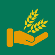 掌上收粮系统Logo